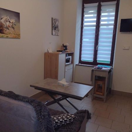 Appartement Rdc Chez Caroline Bourbonne-les-Bains Kültér fotó